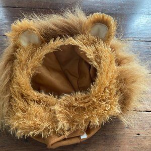 Lion Cub Halloween Outfit (12-18 months)